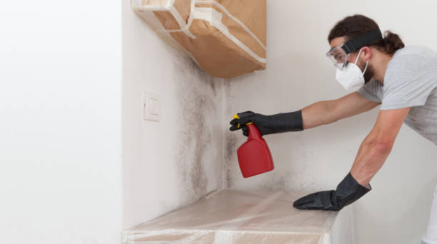 Professional Commercial Mold Remediation technician working in Miller Place, NY